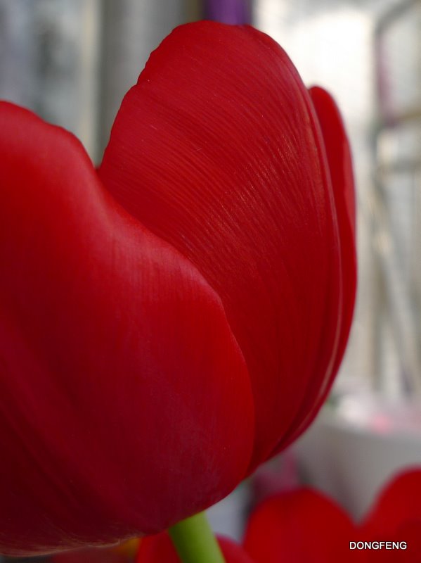 ����Ũ����������