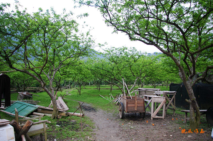 С����ĺ�԰