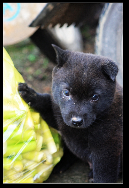 HI�����POSE�����԰ɣ�