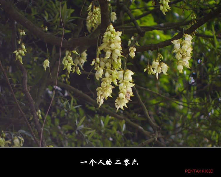 ���˿ӿڲ�Զ����Ȼ����һ��Ⱥ��ȸ����