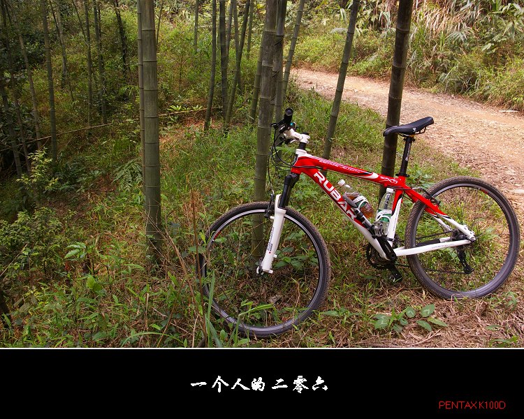 ������Ӱ