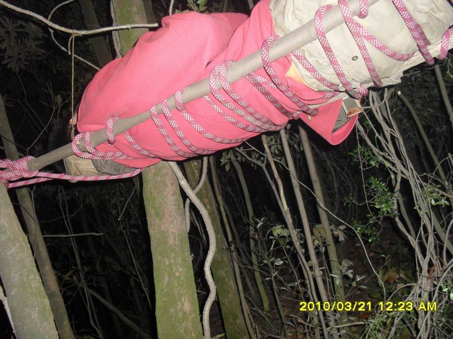 ������С SAM_1803.JPG