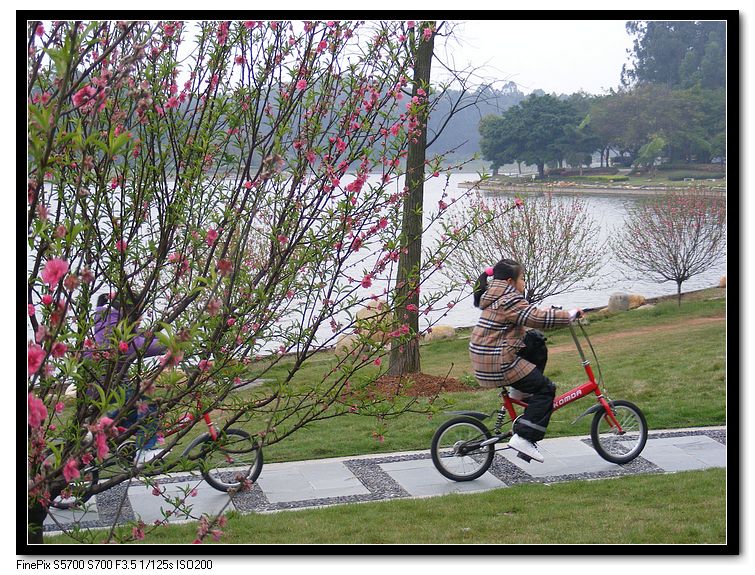 �ﳵ��СŮ��