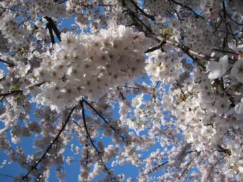 ������С IMG_3543.jpg