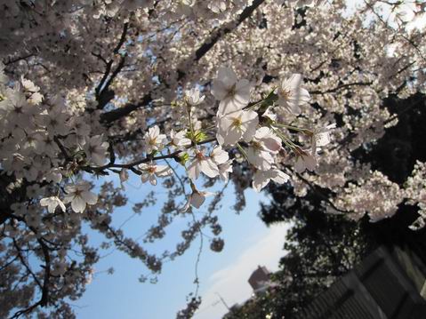 ������С IMG_3542.jpg