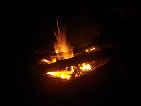 ��������ŵĻ��棬������ů����������� ��