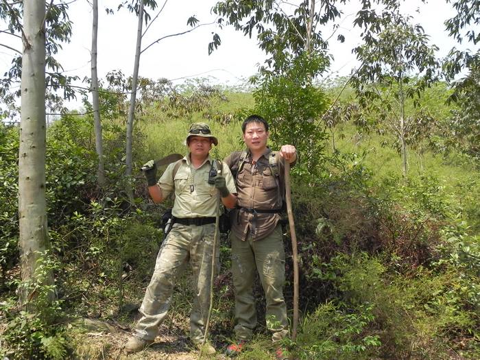 ����+����