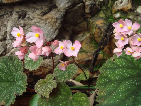 ���� DSC04017.JPG