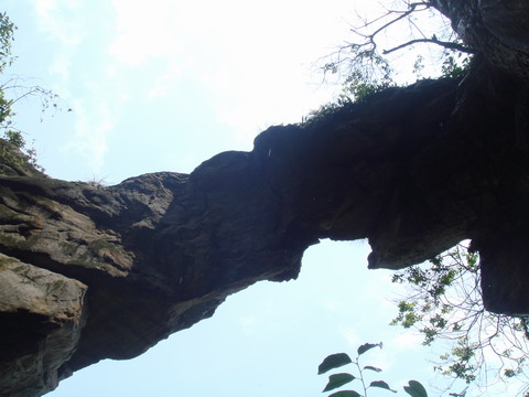        ����Ȼ�Ĺ����񹤨D�D������