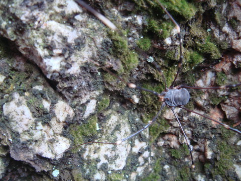      ��Ů˵�������������Ĳ��ǡ��ò������͡���ʧȥ�������������ܰ��յ��Ҹ� �����Ƿ������Ů�Ļ����� ...