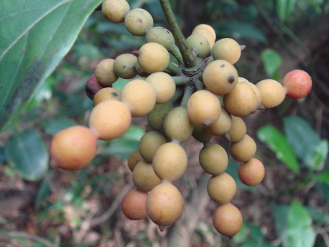 ���� DSC04035.JPG