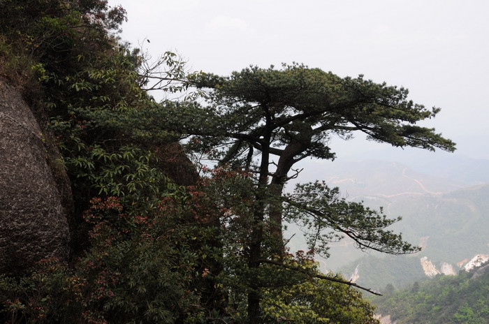 ������ɽ