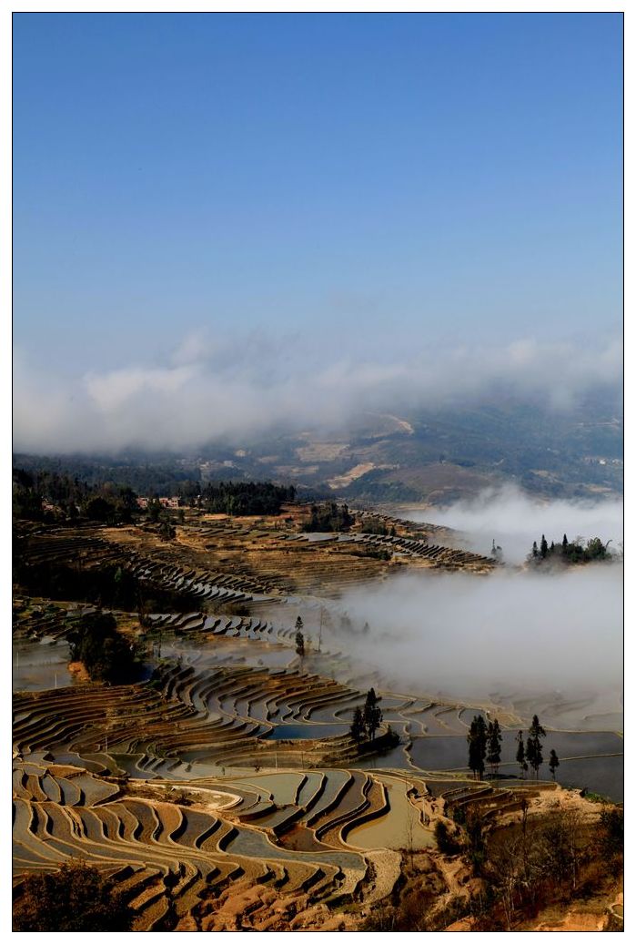 2010����֮�� 236.jpg