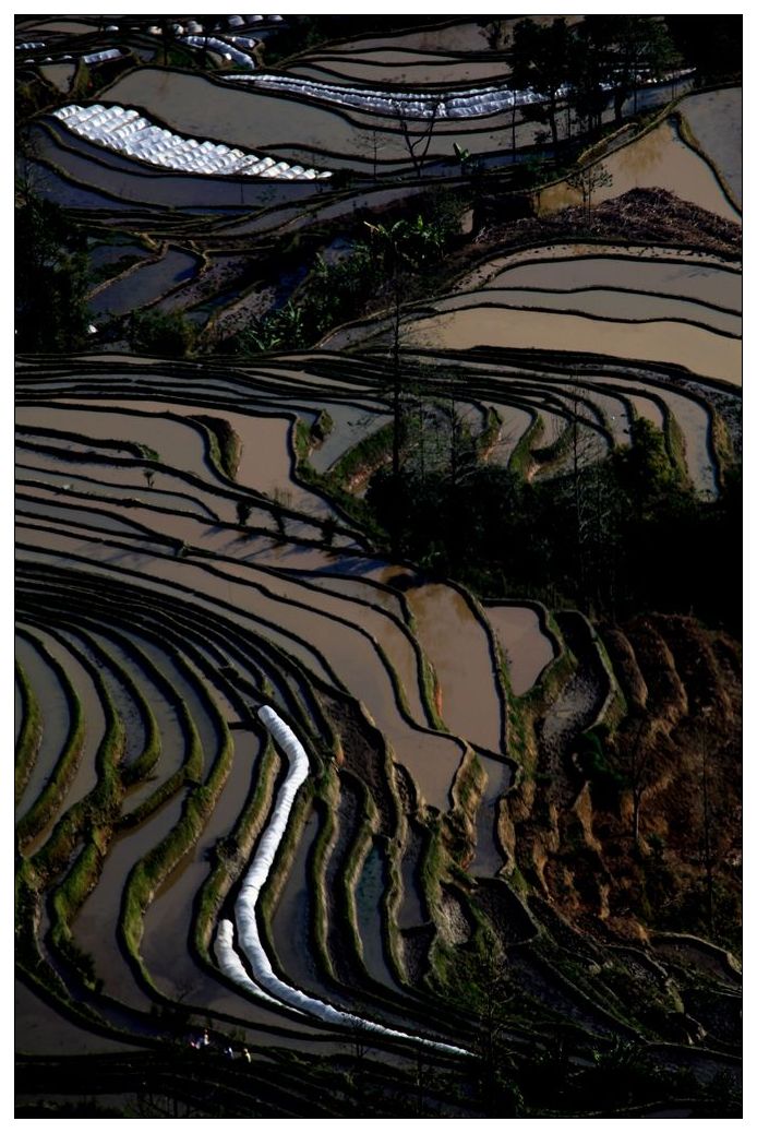 2010����֮�� 324.jpg