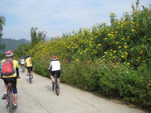 ����2 008.jpg