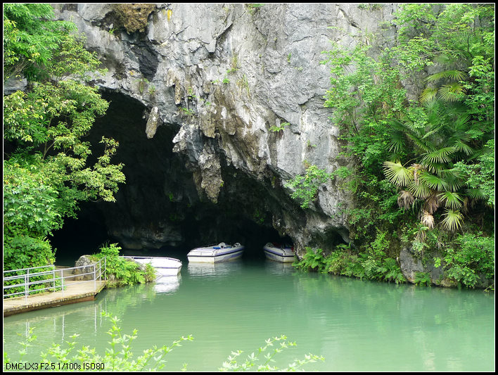 ���鶴�ĳ���