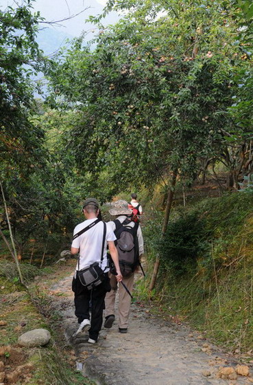 �����ڹ�԰��