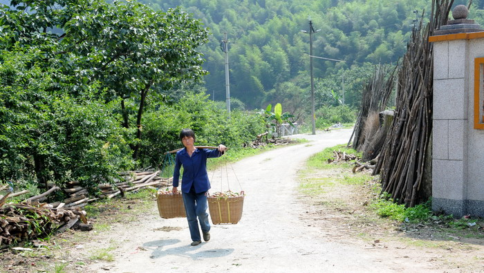 ժ������