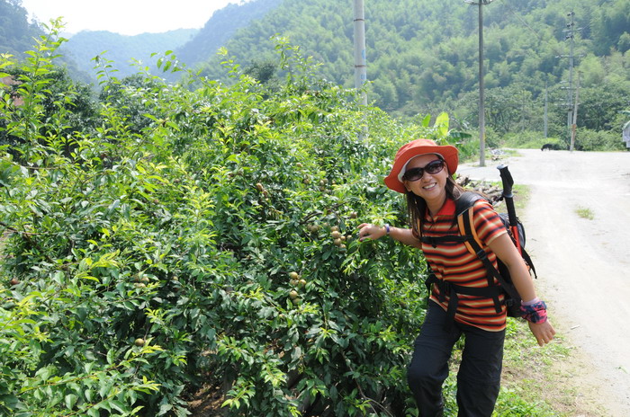 ����·�ߵ�Ұ��