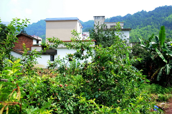 �����ǹ�