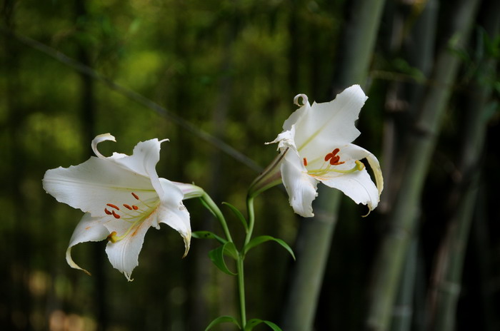 ���̴���һ���