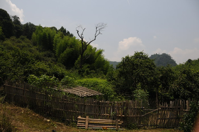 Χ��ס����