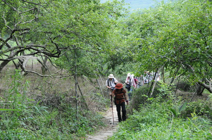 �߲����Ĺ�԰