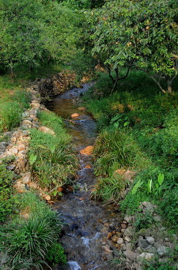 ���ʵ�����