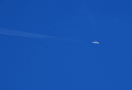 ϲ������������