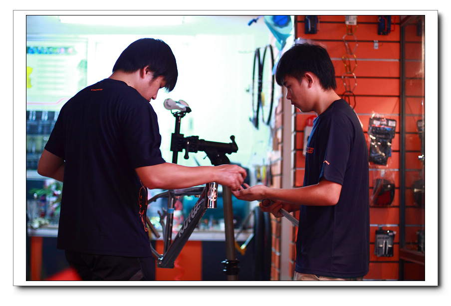 ACO�ͺ��к�����ѽ