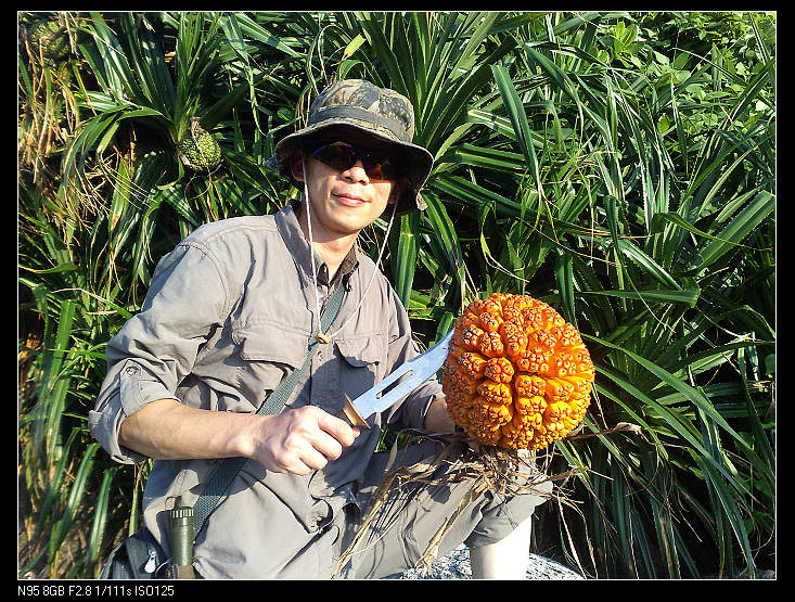 ������һ�°�