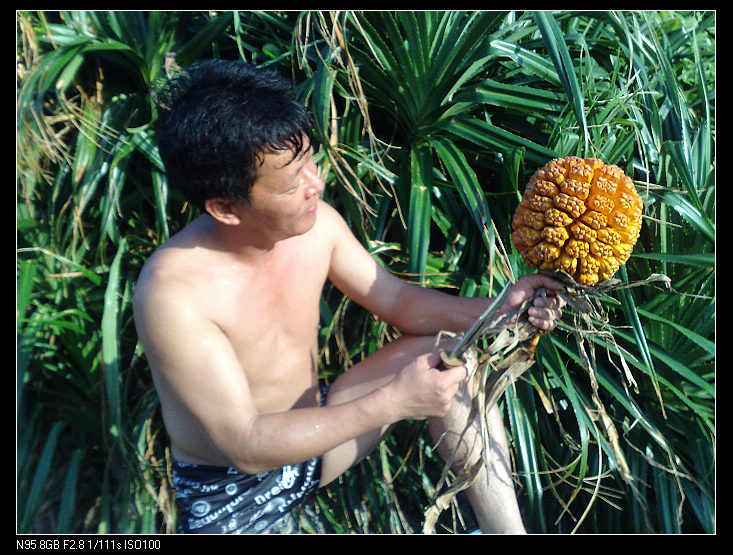 ���Գ���