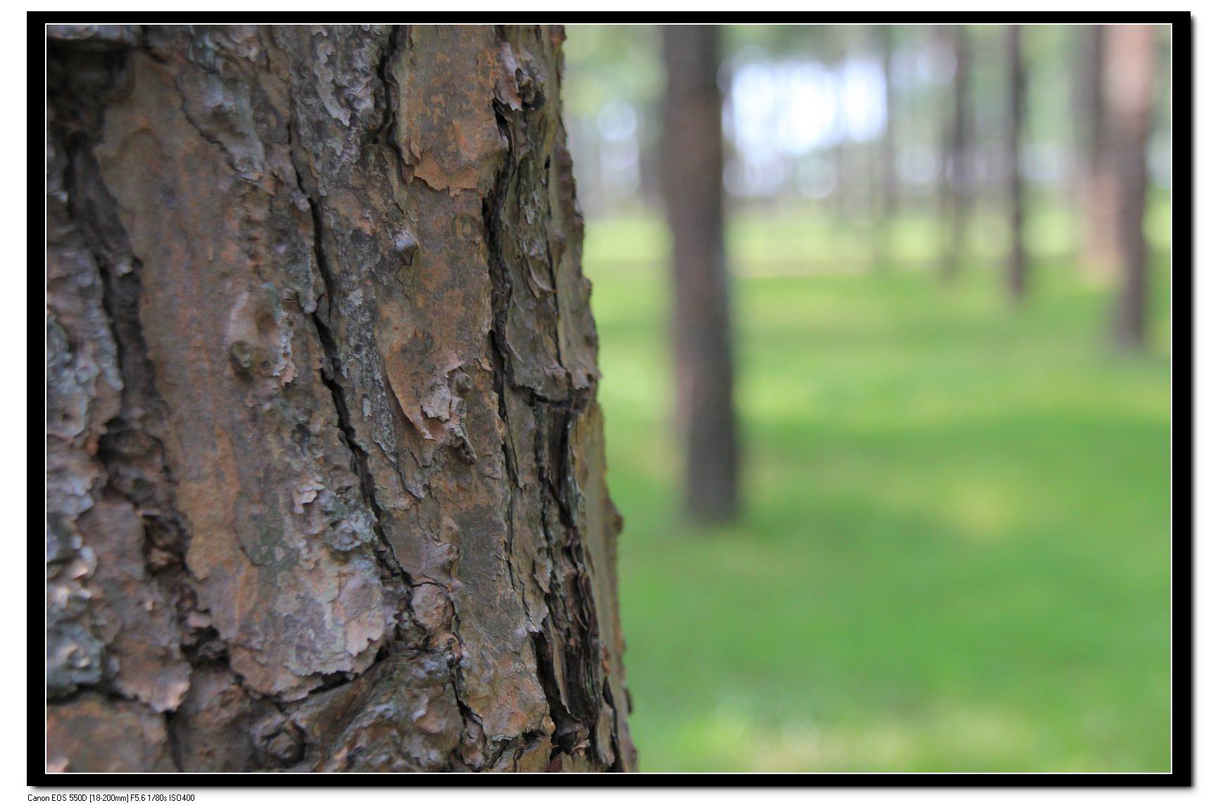 nEO_IMG_IMG_0313 (95).jpg