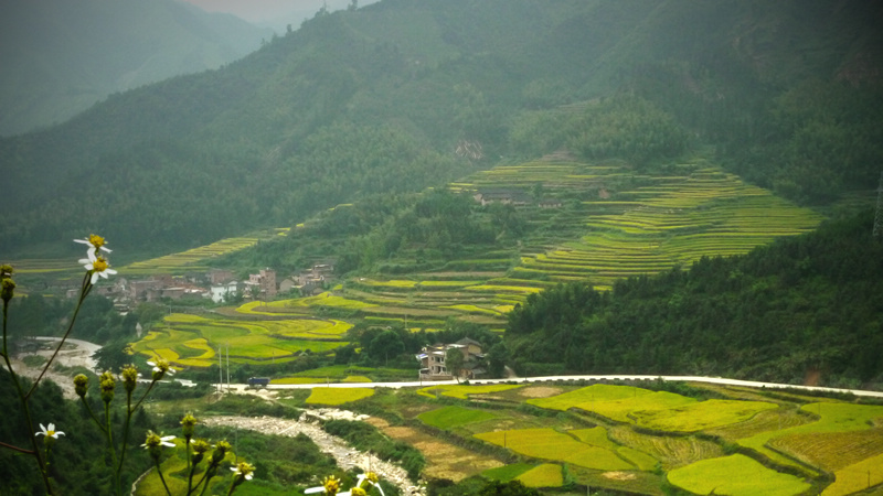 nEO_IMG_P1130130 .jpg