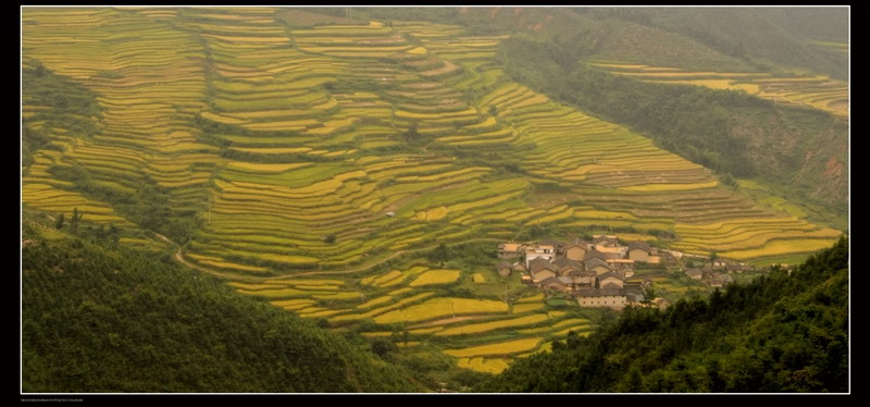 ��ɽ������ 029_neo_bak_������С.jpg