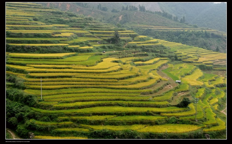 ��ɽ������ 103_������С.jpg