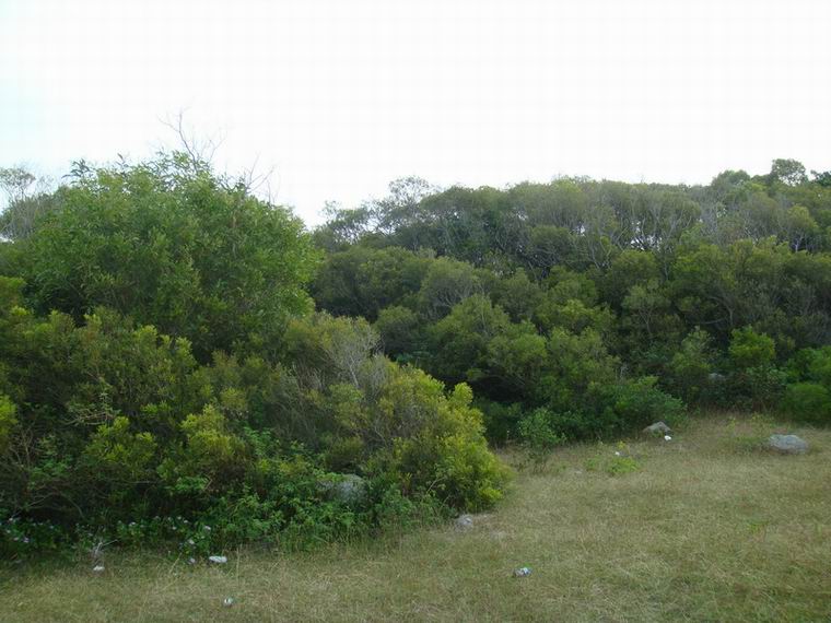 ������С DSC01233_������С.JPG