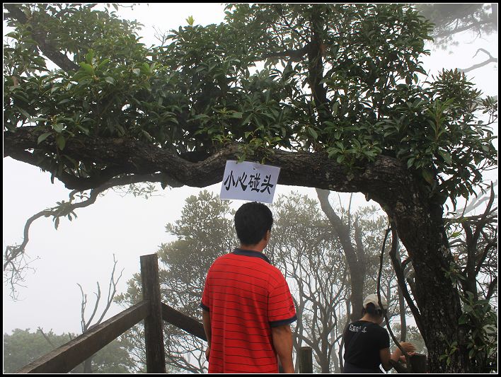 ɽ����·��ʱ������������