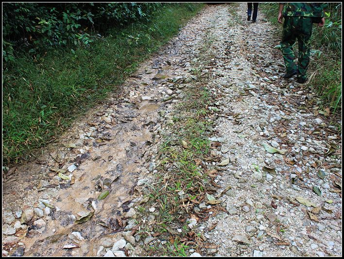 ͽ���ȿ��������·