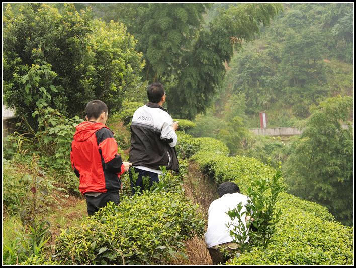 ���������������᣿