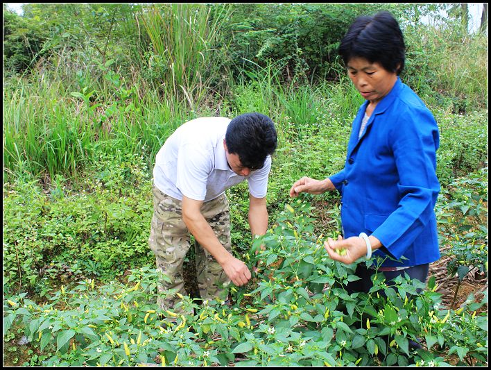 ���º��������