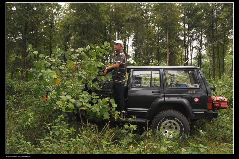 ���޵��տ� 497_������С.jpg