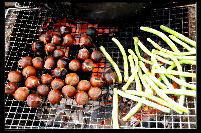 ���޵��տ� 505_������С.jpg