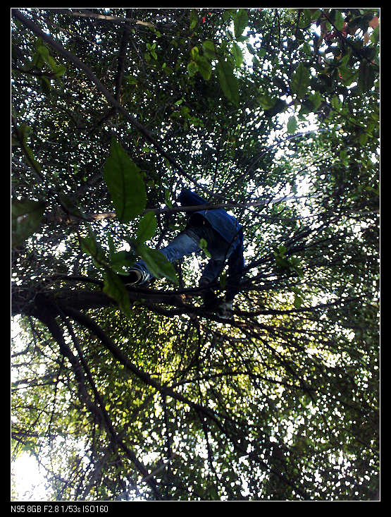 Ϊ����������̽·���򵼺���