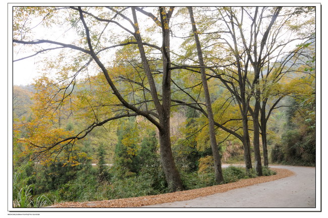 101117��ɽ���� 054_������С.jpg