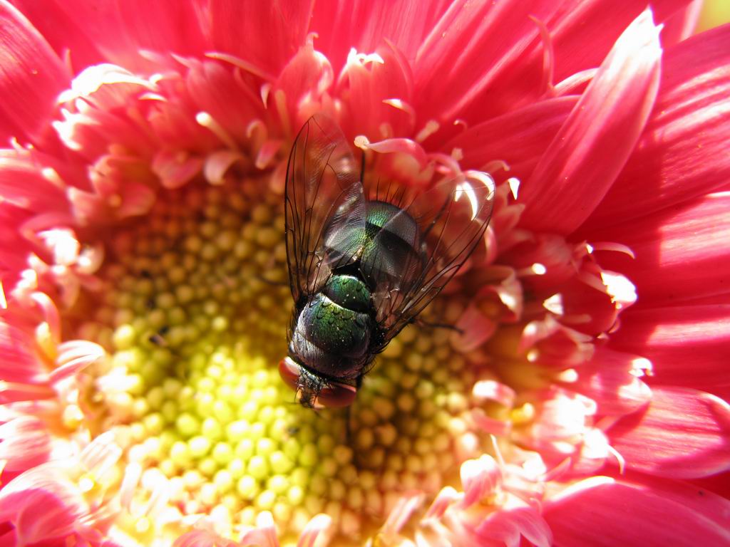 ������С IMG_6424.JPG