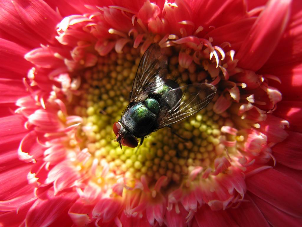 ������С IMG_6435.JPG