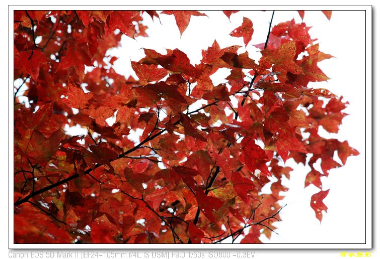 nEO_IMG_��Ƭ 548.jpg