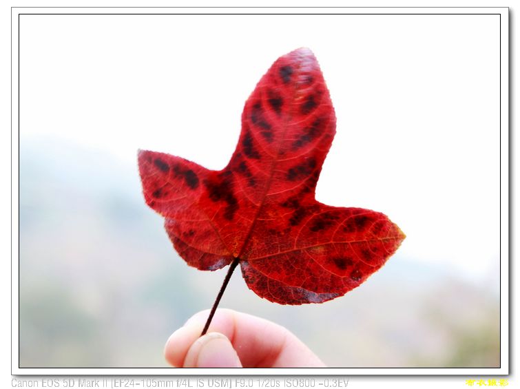 nEO_IMG_��Ƭ 574.jpg