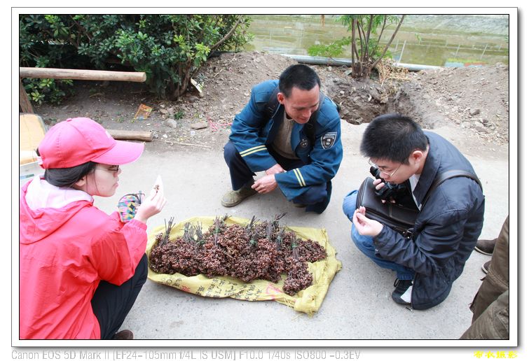 nEO_IMG_��Ƭ 336.jpg